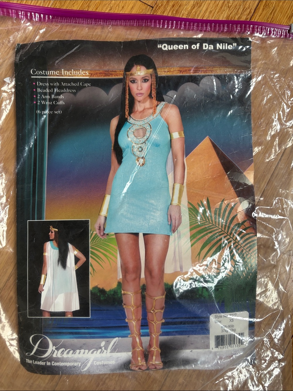Dreamgirl Turquoise Queen of Da Nile Costume with Gold Accents, Adult Size XS